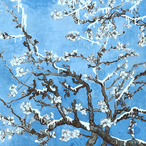 日韩美女深夜福利
